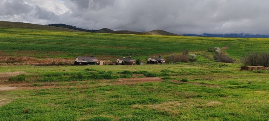 0 Bedroom Property for Sale in Caledon Western Cape